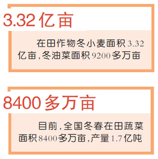 人勤春来早 春耕备耕忙——各地农业生产扫描