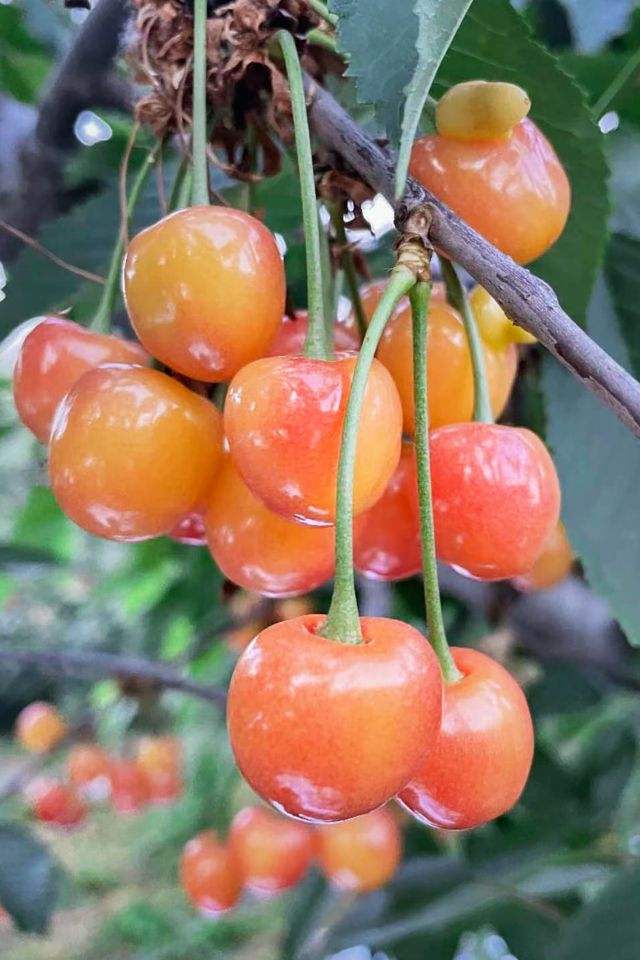 width=640