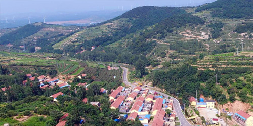 乡村振兴的沂山样本